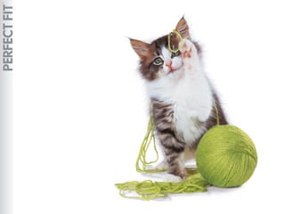 Virada empreendedora