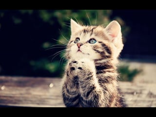 Virada empreendedora