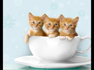 Virada empreendedora