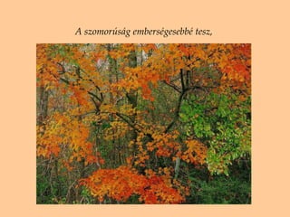 A szomorúság emberségesebbé tesz ,  