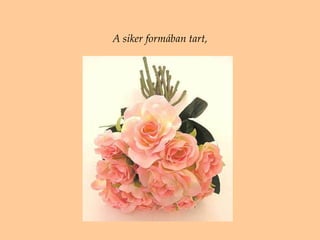 A siker formában tart , 