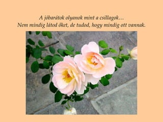 A jóbarátok olyanok mint a csillagok … N em mindig látod őket, de tudod, hogy mindig ott vannak . 