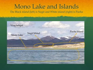 Mono Lake and IslandsThe Black island (left) is Negit and White island (right) is PaohaViraj SehgalPaoha IslandNegitlslandMono Lake