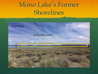 Mono Lake’s Former ShorelinesViraj SehgalFormer Shorelines