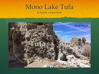 Mono Lake TufaIs basely a limestone  Viraj SehgalTufa
