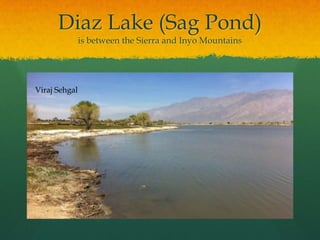Diaz Lake (Sag Pond)is between the Sierra and Inyo MountainsViraj Sehgal