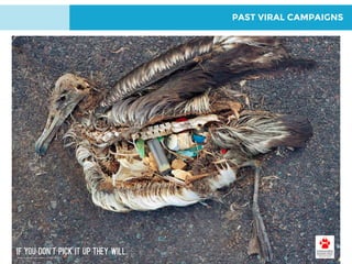 VIRAL CAMPAIGN ANALYSIS
PAST VIRAL CAMPAIGNS
 