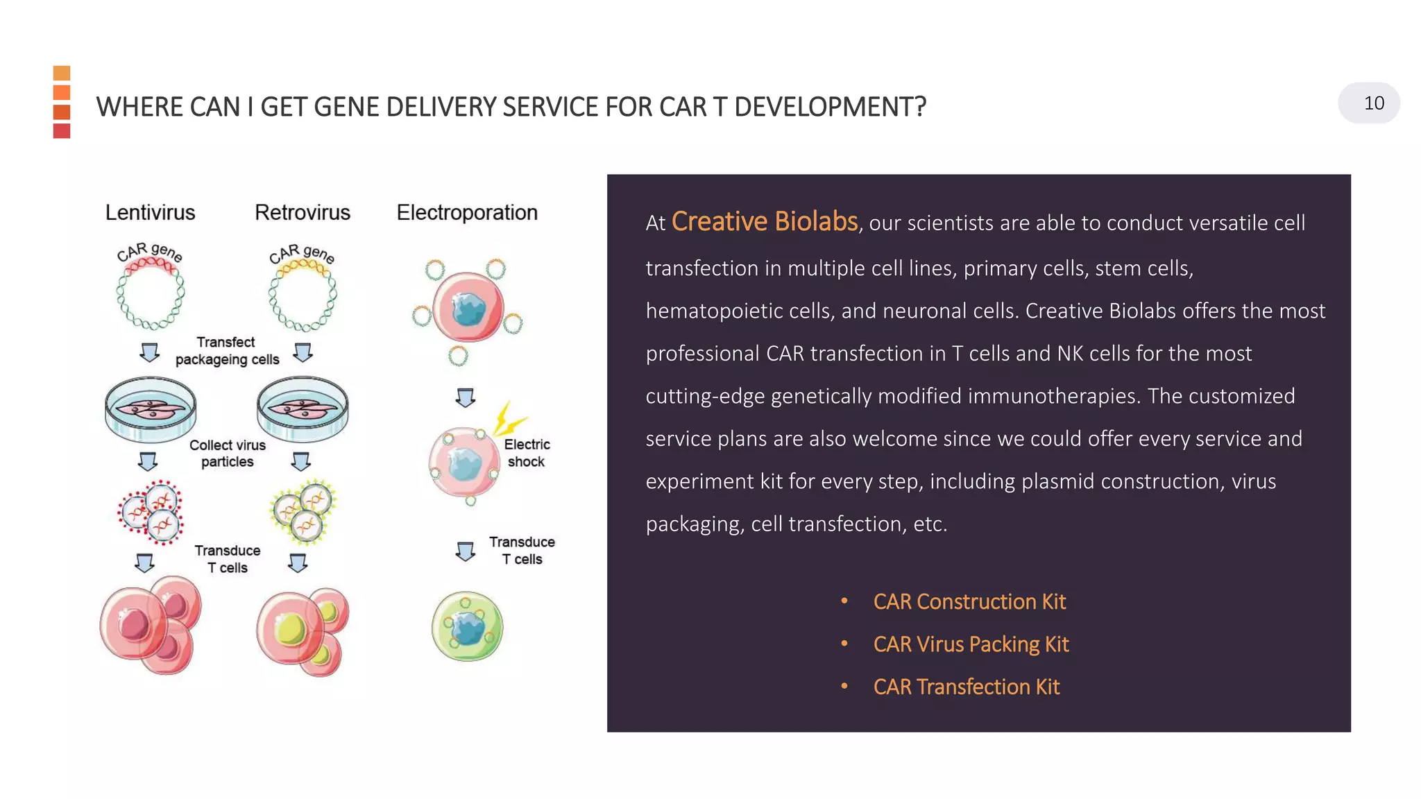 Viral Based Gene Delivery System for Car-t Cell Engineering | PPTX
