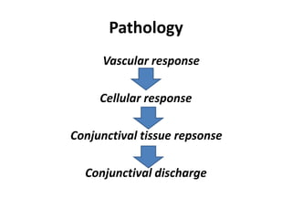 Pathology
Vascular response
Cellular response
Conjunctival tissue repsonse
Conjunctival discharge
 