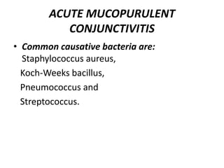 ACUTE MUCOPURULENT
CONJUNCTIVITIS
• Common causative bacteria are:
Staphylococcus aureus,
Koch-Weeks bacillus,
Pneumococcus and
Streptococcus.
 