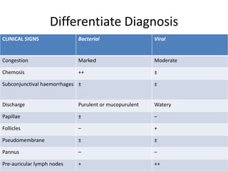 Differentiate Diagnosis
CLINICAL SIGNS Bacterial Viral
Congestion Marked Moderate
Chemosis ++ ±
Subconjunctival haemorrhages ± ±
Discharge Purulent or mucopurulent Watery
Papillae ± –
Follicles – +
Pseudomembrane ± ±
Pannus – –
Pre-auricular lymph nodes + ++
 