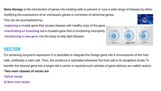 Comprehensive Overview of Viral and Non-Viral Gene Therapy Vectors and ...