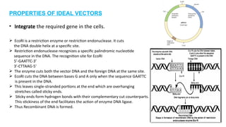Dna Vector Restriction Pattern Comprehensive Overview of Viral and Non-Viral Gene Therapy Vectors and ...
