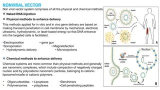 Comprehensive Overview of Viral and Non-Viral Gene Therapy Vectors and ...