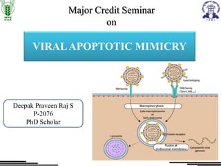 VIRALAPOPTOTIC MIMICRY
Deepak Praveen Raj S
P-2076
PhD Scholar
Major Credit Seminar
on
 