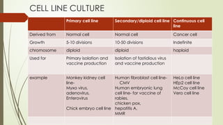 VIRAL CELL CULTURE AND ITS IDENTIFICATION.pptx