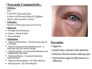 • Newcastle Conjunctivitis :
• Etiology :
- Rare
- Caused by Newcastle Virus.
- Contact with diseased Owls & Chickens .
- Mainly affects poultry workers.
• Clinically :
- Similar to Pharyngoconjunctival Fever.
• Diagnosis
 Through clinical features
 Culture , Smear & Stain
 Virus Isolation
• Medication
 Topical artificial tears - 4-8 times per day, for
1-3 weeks
 Topical vasoconstrictor/antihistamine - 4
times per day, for severe itching
 Topical steroids - For pseudomembranes and
subepithelial infiltrates
 Topical antibiotic - To prevent bacterial
superinfection
 Topical antiviral agents - For HSV infection
 Oral acyclovir - For VZV infection
Prevention
• Hygiene
• Avoid close contact with patients
• Patients should avoid rubbing eyes
• Vaccination against Adenovirus is
effective.
 