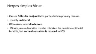 Herpes simplex Virus:-
• Causes Follicular conjunctivitis particularly in primary disease.
• Usually unilateral.
• Often Associated skin lesions.
• Minute, micro dendrites may be mistaken for punctate epithelial
keratitis, but corneal sensation is reduced in HSV.
 