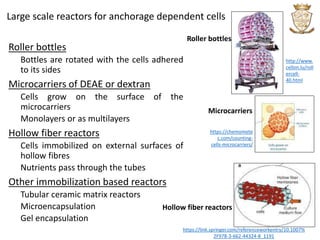 Microencapsulation Reactor Viral cultivation techniques | PPTX