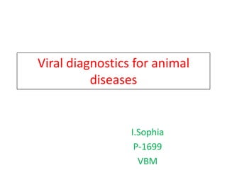 Viral diagnostics for animal
diseases
I.Sophia
P-1699
VBM
 
