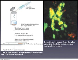 Viral diagnostics eac for finals | PDF