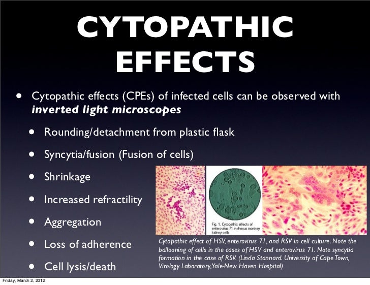 Viral diagnostics eac for finals
