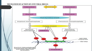 MECHANISM OF ACTION OF ANTI VIRAL DRUGS:
 