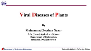 Department of Agriculture Entomology Bahauddin Zakariya University, Multan
Viral Diseases of Plants
By
Muhammad Zeeshan Nazar
B.Sc (Hons.) Agriculture Science
Department of Entomology
mzeeshan_93@yahoo.com
 