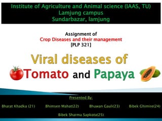 Institute of Agriculture and Animal science (IAAS, TU)
Lamjung campus
Sundarbazar, lamjung
Assignment of
Crop Diseases and their management
[PLP 321]
Presented By:
Bharat Khadka (21) Bhimsen Mahat(22) Bhuwan Gauli(23) Bibek Ghimire(24)
Bibek Sharma Sapkota(25)
 