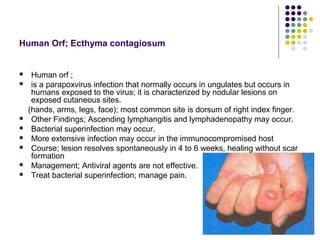 Orf Infection In Humans Dermatology 5th year, 2nd lecture (Dr. Ali El-Ethawi) | PPT