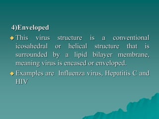 4)Enveloped
 This virus structure is a conventional
icosahedral or helical structure that is
surrounded by a lipid bilayer membrane,
meaning virus is encased or enveloped.
 Examples are Influenza virus, Hepatitis C and
HIV
 