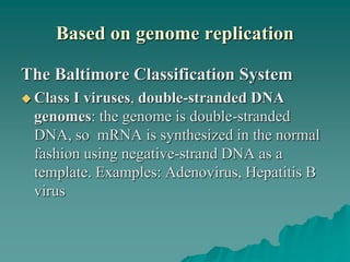 Based on genome replication
The Baltimore Classification System
 Class I viruses, double-stranded DNA
genomes: the genome is double-stranded
DNA, so mRNA is synthesized in the normal
fashion using negative-strand DNA as a
template. Examples: Adenovirus, Hepatitis B
virus
 