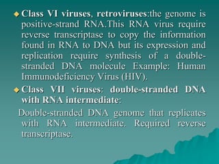  Class VI viruses, retroviruses:the genome is
positive-strand RNA.This RNA virus require
reverse transcriptase to copy the information
found in RNA to DNA but its expression and
replication require synthesis of a double-
stranded DNA molecule Example: Human
Immunodeficiency Virus (HIV).
 Class VII viruses: double-stranded DNA
with RNA intermediate:
Double-stranded DNA genome that replicates
with RNA intermediate. Required reverse
transcriptase.
 
