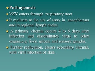 Pathogenesis
 VZV enters through respiratory tract
 It replicate at the site of entry in nasopharynx
and in regional lymph nodes.
 A primary viremia occurs 4 to 6 days after
infection and disseminates virus to other
organs,e.g. liver, spleen, and sensory ganglia.
 Further replication, causes secondary viremia,
with viral infection of skin.
 