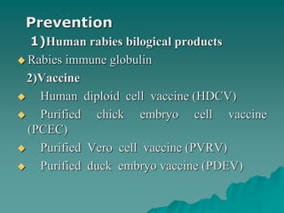 Prevention
1)Human rabies bilogical products
 Rabies immune globulin
2)Vaccine
 Human diploid cell vaccine (HDCV)
 Purified chick embryo cell vaccine
(PCEC)
 Purified Vero cell vaccine (PVRV)
 Purified duck embryo vaccine (PDEV)
 