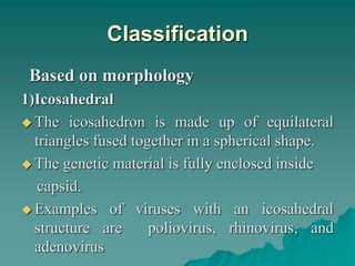 Classification
Based on morphology
1)Icosahedral
 The icosahedron is made up of equilateral
triangles fused together in a spherical shape.
 The genetic material is fully enclosed inside
capsid.
 Examples of viruses with an icosahedral
structure are poliovirus, rhinovirus, and
adenovirus
 