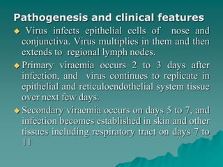 Pathogenesis and clinical features
 Virus infects epithelial cells of nose and
conjunctiva. Virus multiplies in them and then
extends to regional lymph nodes.
 Primary viraemia occurs 2 to 3 days after
infection, and virus continues to replicate in
epithelial and reticuloendothelial system tissue
over next few days.
 Secondary viraemia occurs on days 5 to 7, and
infection becomes established in skin and other
tissues including respiratory tract on days 7 to
11
 