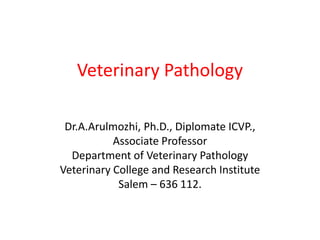 Veterinary Pathology
Dr.A.Arulmozhi, Ph.D., Diplomate ICVP.,
Associate Professor
Department of Veterinary Pathology
Veterinary College and Research Institute
Salem – 636 112.
 