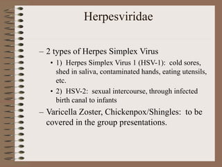 Herpesviridae
– 2 types of Herpes Simplex Virus
• 1) Herpes Simplex Virus 1 (HSV-1): cold sores,
shed in saliva, contaminated hands, eating utensils,
etc.
• 2) HSV-2: sexual intercourse, through infected
birth canal to infants
– Varicella Zoster, Chickenpox/Shingles: to be
covered in the group presentations.
 