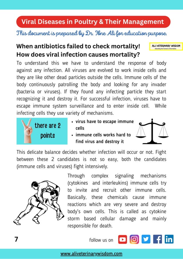 POULTRY DISEASES SYMPTOMS AND TREATMENTS PDF IN URDU visual data 4