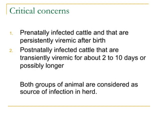 Viral diseases in ruminant | PDF