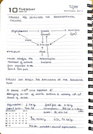 Virology Notes 2020 #23: Viral ecology | PDF