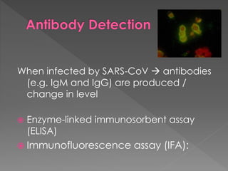 When infected by SARS-CoV  antibodies
(e.g. IgM and IgG) are produced /
change in level
 Enzyme-linked immunosorbent assay
(ELISA)
 Immunofluorescence assay (IFA):
 