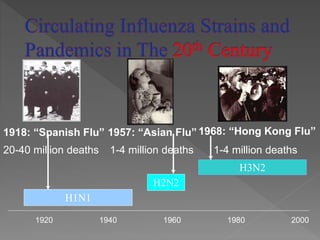 1920 1940 1960 1980 2000
H1N1
H2N2
H3N2
1918: “Spanish Flu” 1957: “Asian Flu” 1968: “Hong Kong Flu”
20-40 million deaths 1-4 million deaths 1-4 million deaths
 