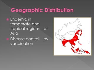  Endemic in
temperate and
tropical regions of
Asia
 Disease control by
vaccination
Japan
China
Korea
Indonesia
India Philippines
 