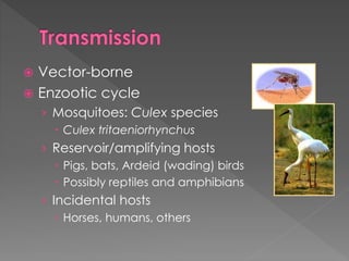  Vector-borne
 Enzootic cycle
› Mosquitoes: Culex species
 Culex tritaeniorhynchus
› Reservoir/amplifying hosts
 Pigs, bats, Ardeid (wading) birds
 Possibly reptiles and amphibians
› Incidental hosts
 Horses, humans, others
 