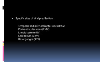  Specific sites of viral predilection
Temporal and inferior frontal lobes (HSV)
Periventricular areas (CMV)
Limbic system (RV)
Cerebellum (VZV)
Basal ganglia (JEV)
 