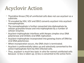 Acyclovir Action
• Thymidine Kinase (TK) of uninfected cells does not use acyclovir as a
substrate.
• TK encoded by HSV, VZV and EBV2 converts acyclovir into acyclovir
monophosphate.
• The monophosphate is further converted into diphosphate by
cellular guanylate kinase and into triphosphate by a number of
cellular enzymes.
• Acyclovir triphosphate interferes with Herpes simplex virus DNA
polymerase and inhibits viral DNA replication.
• Acyclovir triphosphate incorporated into growing chains of DNA by
viral DNA polymerase.
• When incorporation occurs, the DNA chain is terminated.
• Acyclovir is preferentially taken up and selectively converted to the
active triphosphate form by HSV-infected cells.
• Thus, acyclovir is much less toxic in vitro for normal uninfected cells
because: 1) less is taken up; 2) less is converted to the active form.

 