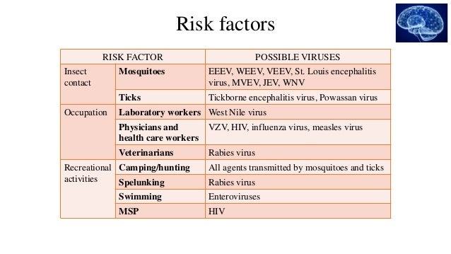 Encephalitis Cats And Dogs Encephalitis Cats And Dogs