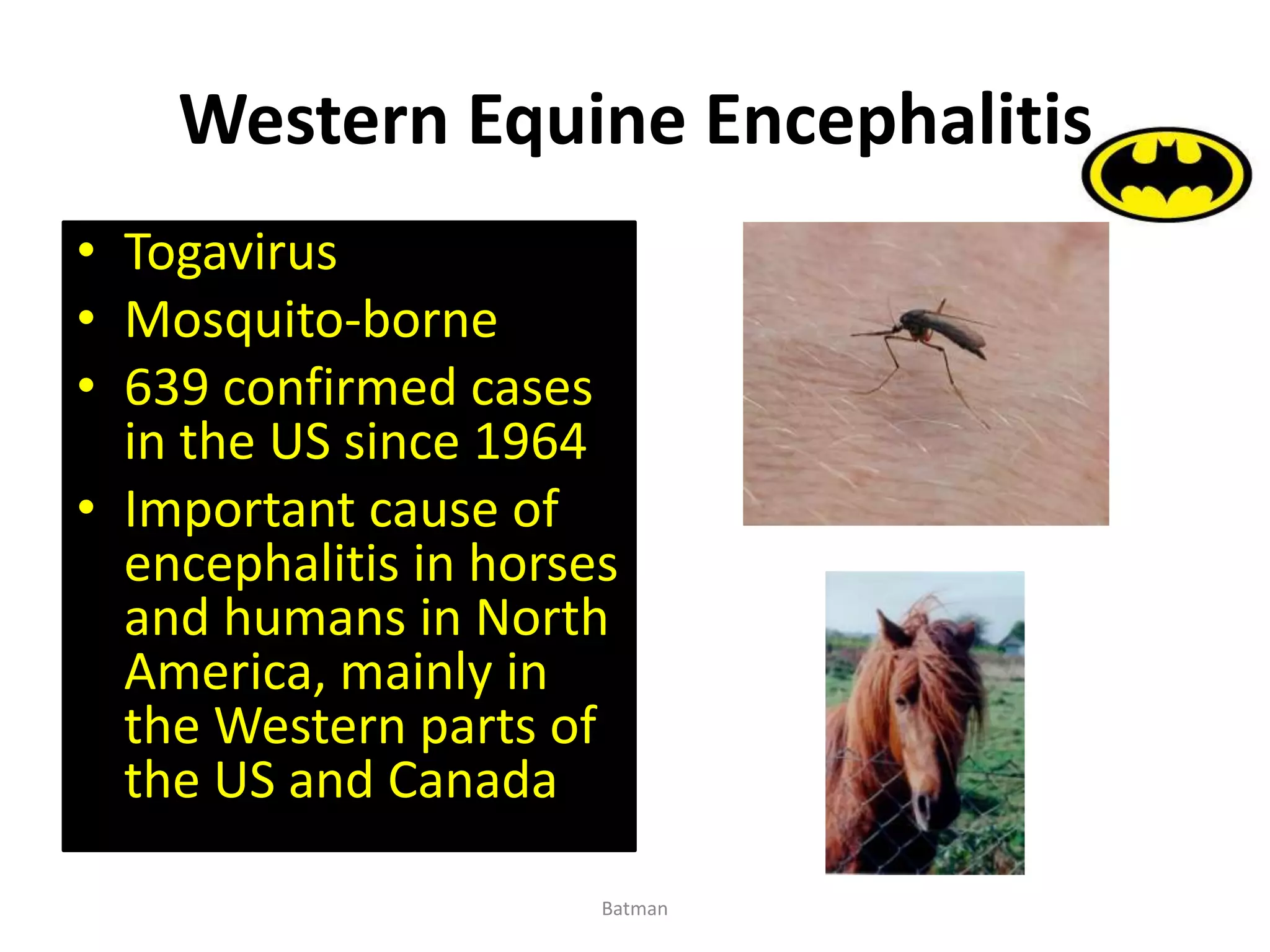 Western Equine Encephalitis
• Togavirus
• Mosquito-borne
• 639 confirmed cases
in the US since 1964
• Important cause of
encephalitis in horses
and humans in North
America, mainly in
the Western parts of
the US and Canada
Batman
 